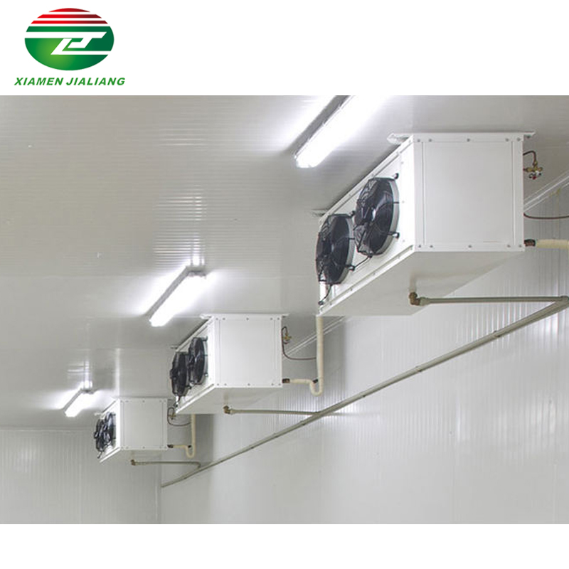 Chinese Suppliers Customized Cold Room Storage And Freezer Room