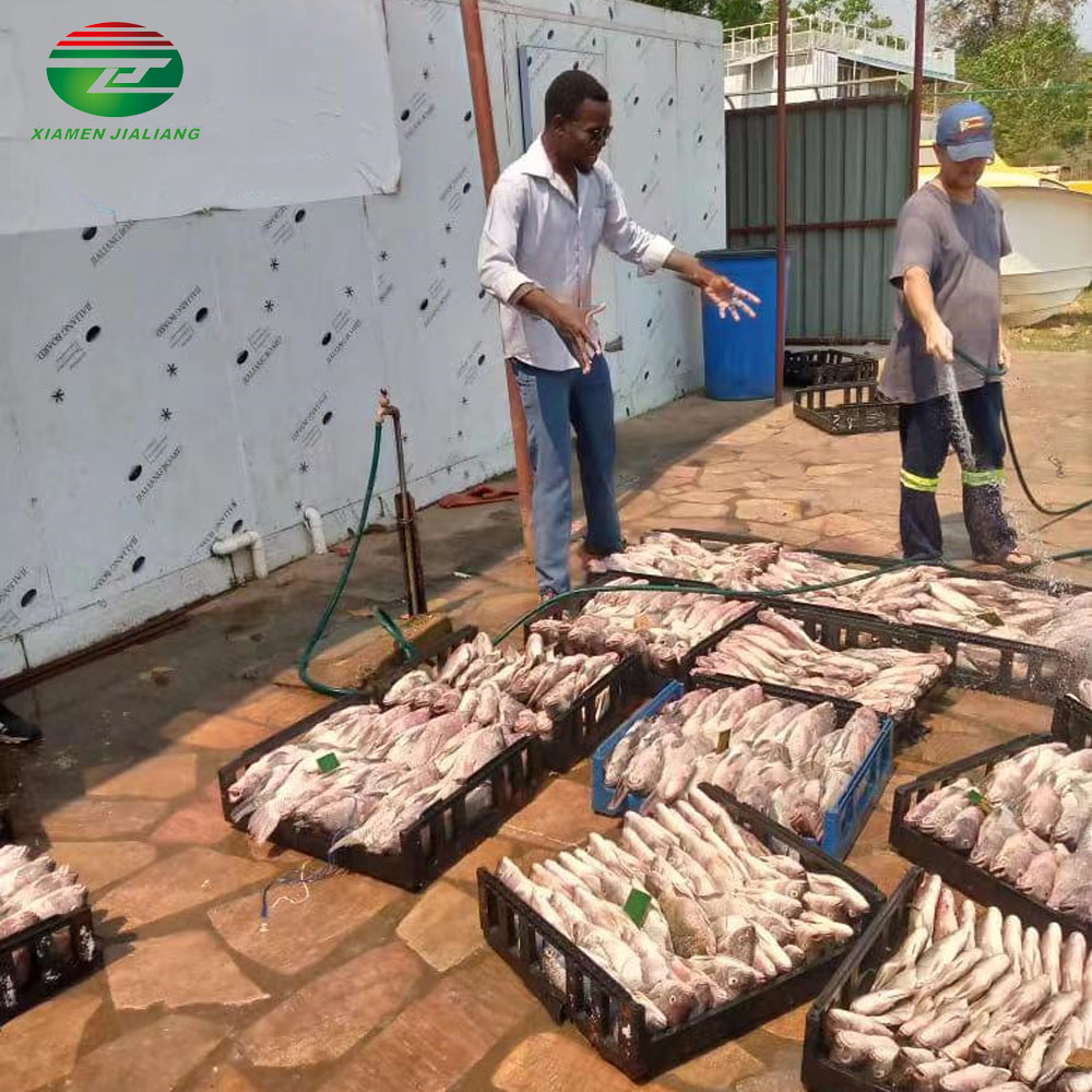 cold room for meat and fish